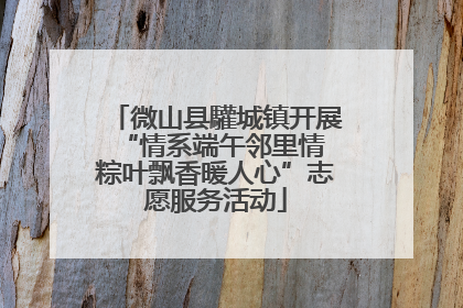微山县驩城镇开展“情系端午邻里情 粽叶飘香暖人心”志愿服务活动