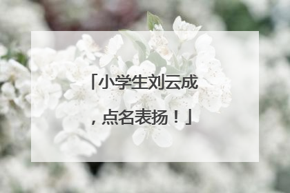 小学生刘云成，点名表扬！