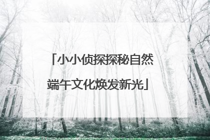 小小侦探探秘自然 端午文化焕发新光