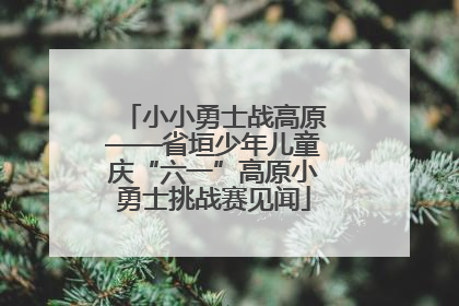 小小勇士战高原——省垣少年儿童庆“六一”高原小勇士挑战赛见闻