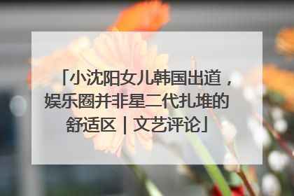 小沈阳女儿韩国出道，娱乐圈并非星二代扎堆的舒适区｜文艺评论