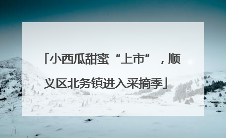 小西瓜甜蜜“上市”，顺义区北务镇进入采摘季