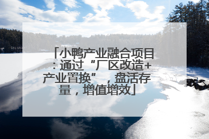 小鸭产业融合项目：通过“厂区改造+产业置换”，盘活存量，增值增效