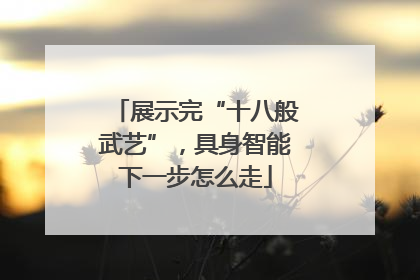 展示完“十八般武艺”，具身智能下一步怎么走