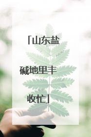 山东盐碱地里丰收忙
