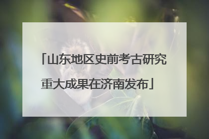 山东地区史前考古研究重大成果在济南发布