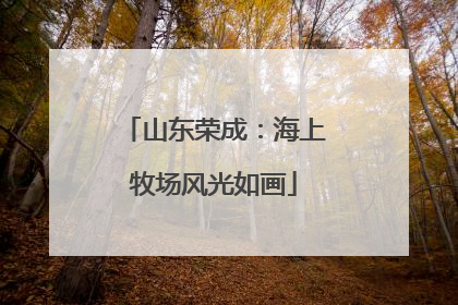 山东荣成：海上牧场风光如画