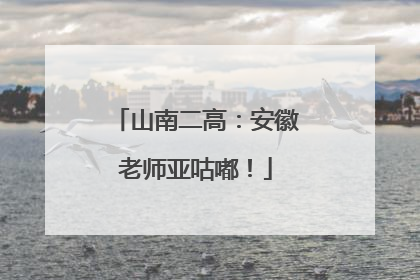 山南二高：安徽老师亚咕嘟！