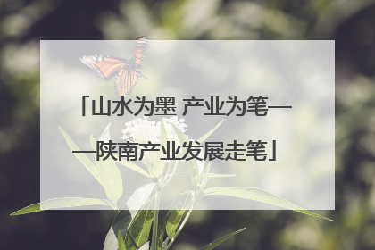 山水为墨 产业为笔——陕南产业发展走笔