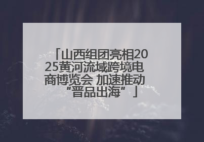 山西组团亮相2025黄河流域跨境电商博览会 加速推动“晋品出海”