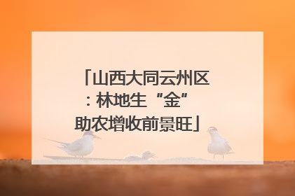 山西大同云州区：林地生“金” 助农增收前景旺