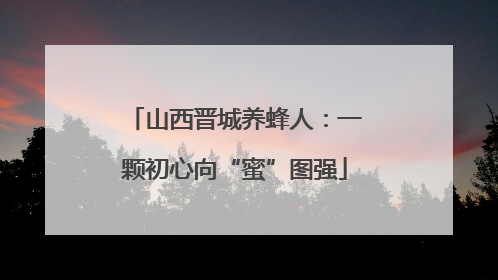 山西晋城养蜂人：一颗初心向“蜜”图强