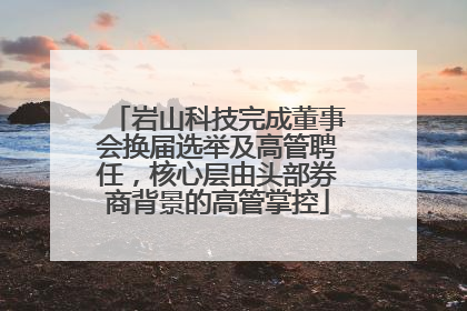 岩山科技完成董事会换届选举及高管聘任，核心层由头部券商背景的高管掌控