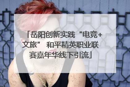 岳阳创新实践“电竞+文旅” 和平精英职业联赛嘉年华线下引流