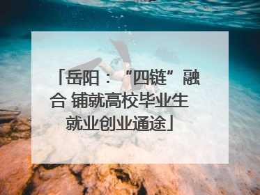 岳阳：“四链”融合 铺就高校毕业生就业创业通途