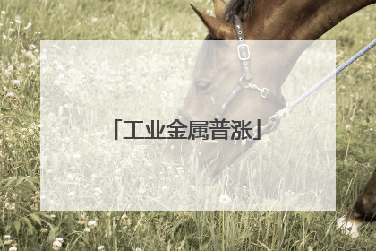 工业金属普涨