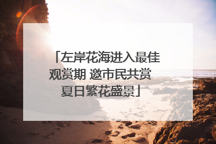 左岸花海进入最佳观赏期 邀市民共赏夏日繁花盛景