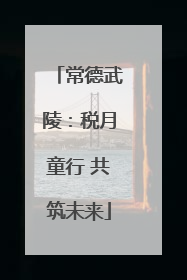 常德武陵：税月童行 共筑未来
