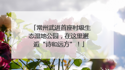 常州武进首座村级生态湿地公园，在这里邂逅“诗和远方”！