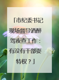 市纪委书记现场督导酒醉驾夜查工作：有没有干部耍特权？