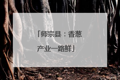 师宗县：香葱产业一路鲜