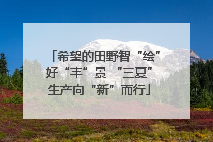 希望的田野智“绘”好“丰”景 “三夏”生产向“新”而行