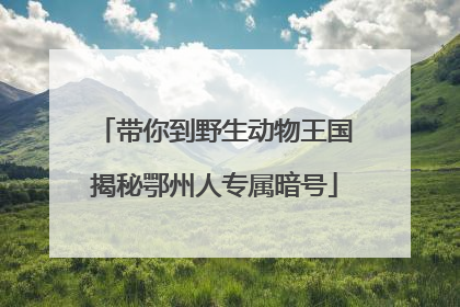 带你到野生动物王国揭秘鄂州人专属暗号