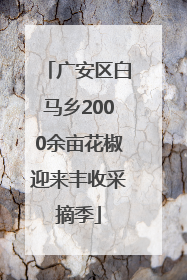 广安区白马乡2000余亩花椒迎来丰收采摘季