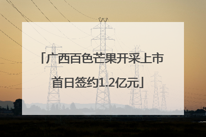 广西百色芒果开采上市 首日签约1.2亿元