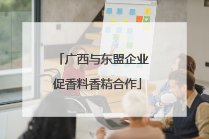 广西与东盟企业促香料香精合作