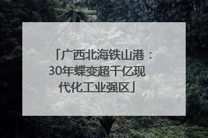 广西北海铁山港：30年蝶变超千亿现代化工业强区