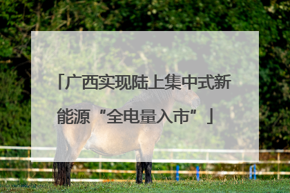 广西实现陆上集中式新能源“全电量入市”