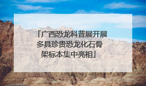 广西恐龙科普展开展 多具珍贵恐龙化石骨架标本集中亮相
