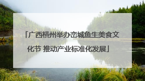 广西横州举办峦城鱼生美食文化节 推动产业标准化发展