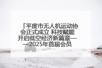 平度市无人机运动协会正式成立 科技赋能开启低空经济新篇章——2025年首届会员大会暨无人机应用发展论坛成功举办