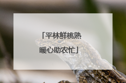平林鲜桃熟 暖心助农忙