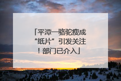 平潭一骆驼瘦成“纸片”引发关注！部门已介入
