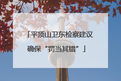 平顶山卫东检察建议确保“罚当其错”