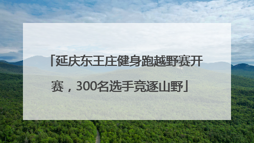 延庆东王庄健身跑越野赛开赛，300名选手竞逐山野