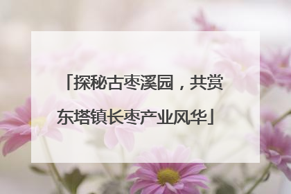 探秘古枣溪园，共赏东塔镇长枣产业风华