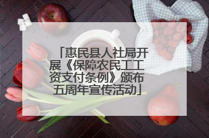 惠民县人社局开展《保障农民工工资支付条例》颁布五周年宣传活动