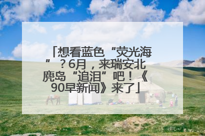 想看蓝色“荧光海”？6月，来瑞安北麂岛“追泪”吧！《90早新闻》来了
