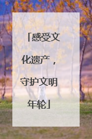 感受文化遗产，守护文明年轮