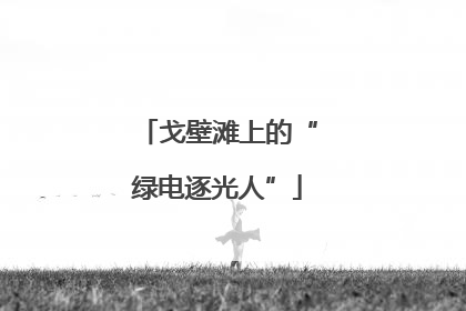 戈壁滩上的“绿电逐光人”
