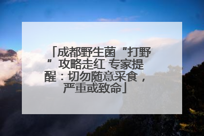 成都野生菌“打野”攻略走红 专家提醒：切勿随意采食，严重或致命