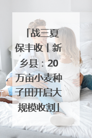 战三夏 保丰收丨新乡县：20万亩小麦种子田开启大规模收割
