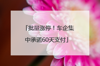 批量涨停！车企集中承诺60天支付