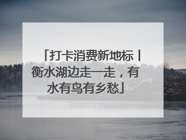 打卡消费新地标丨衡水湖边走一走，有水有鸟有乡愁