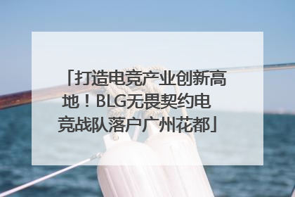 打造电竞产业创新高地！BLG无畏契约电竞战队落户广州花都