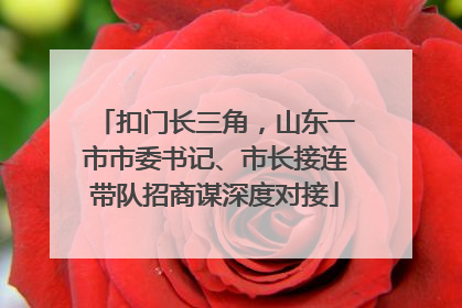 扣门长三角，山东一市市委书记、市长接连带队招商谋深度对接